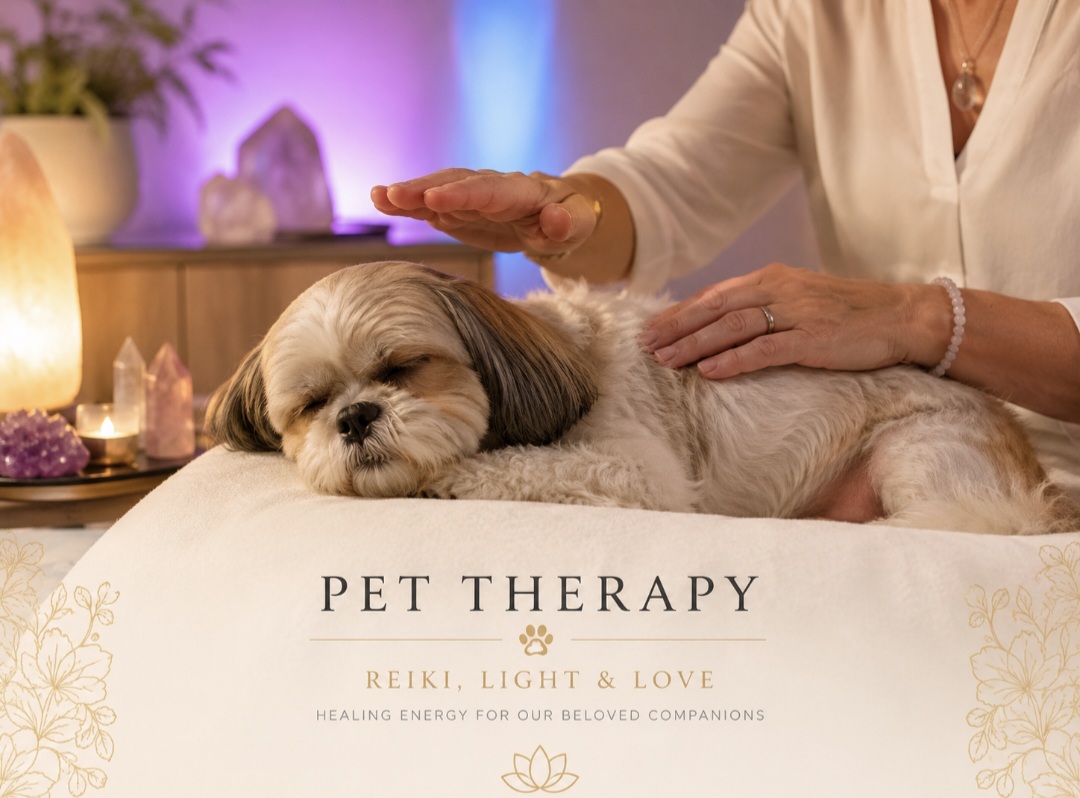 Mockup do protocolo PetTerapia Protocolo Vibracional LuxMind